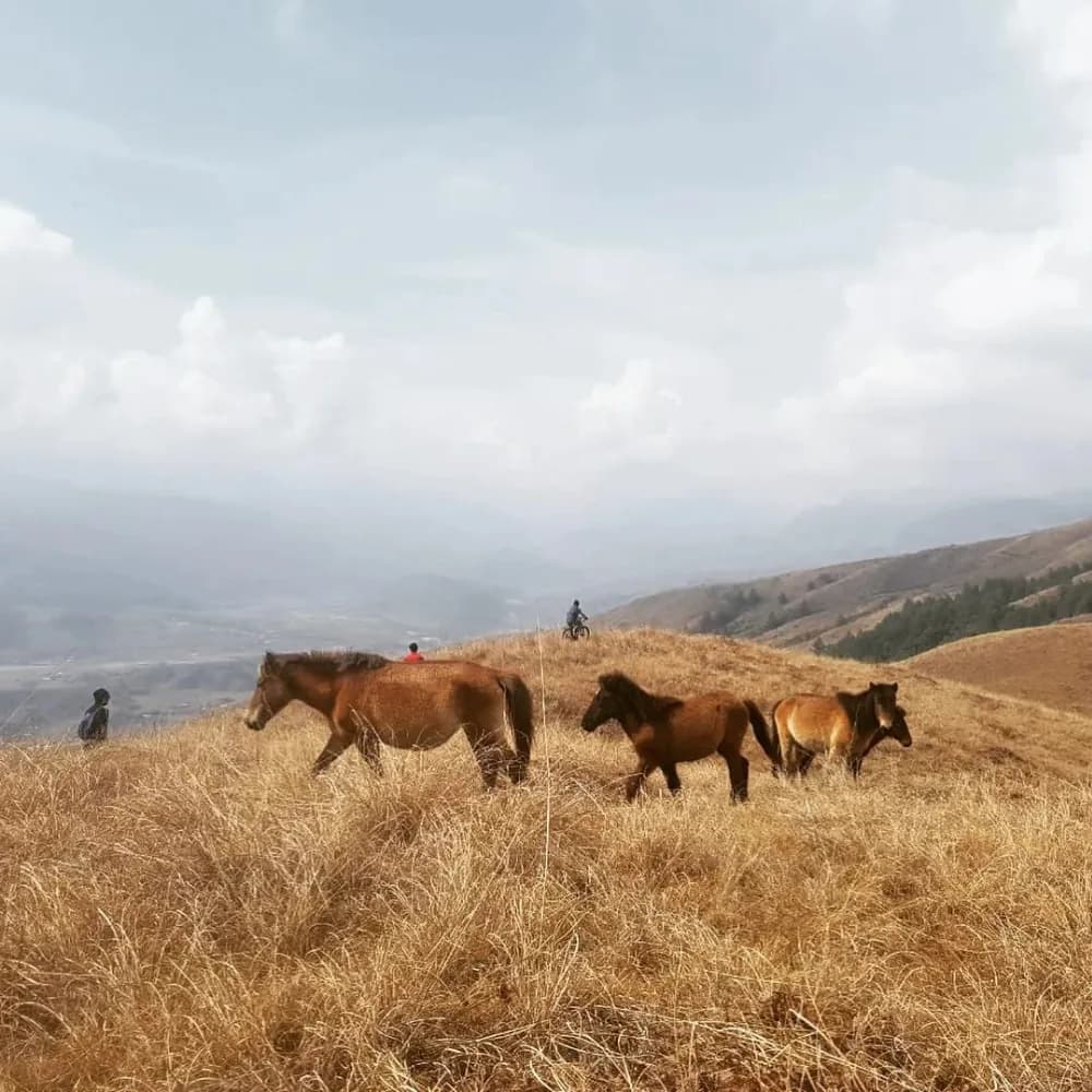 3 Sisters Tour 3.1 - Arunachal Pradesh Extended - Gallery Image 9