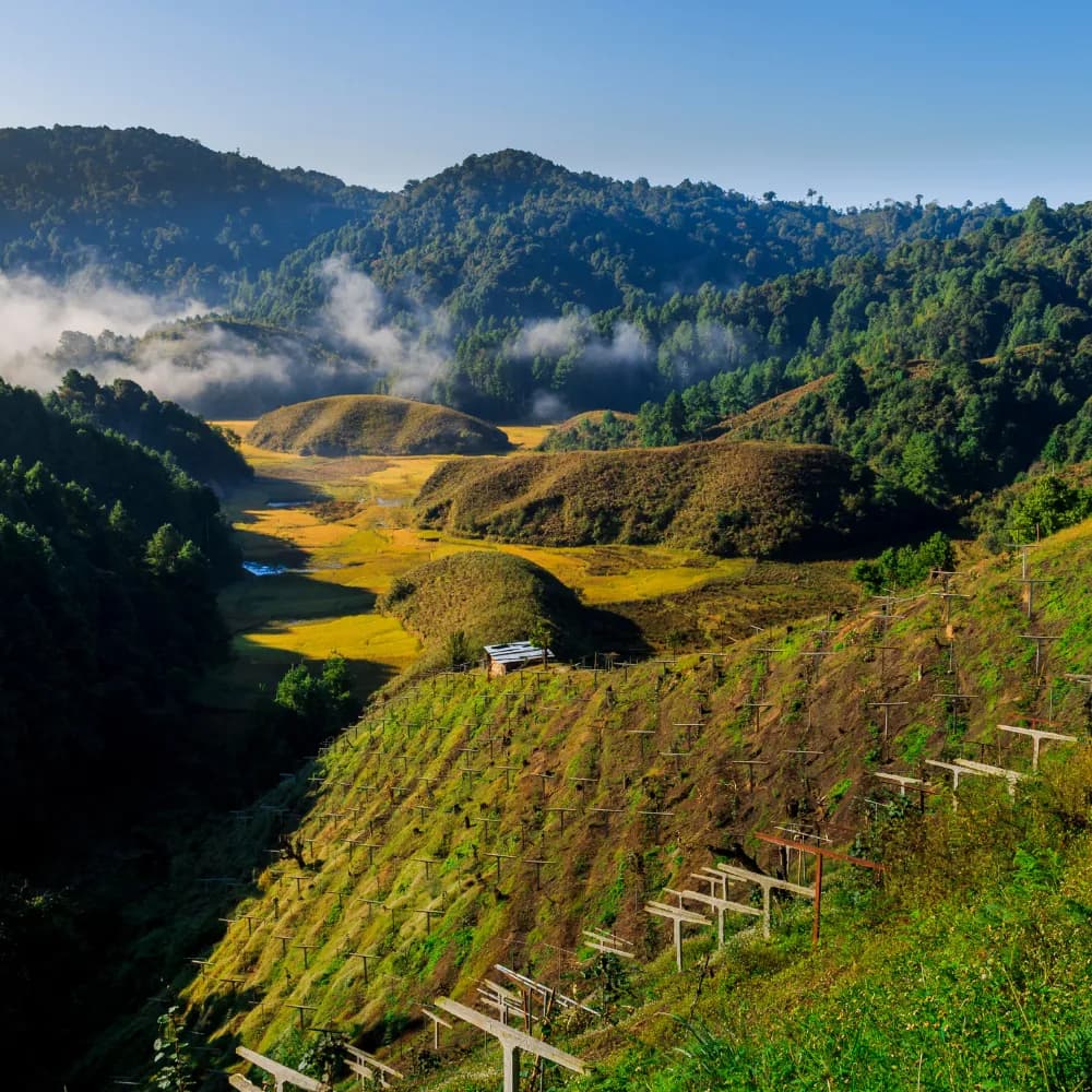 Ziro Extended Stay - Day 4
