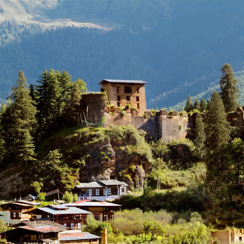 Thimphu to Punakha - Day 5