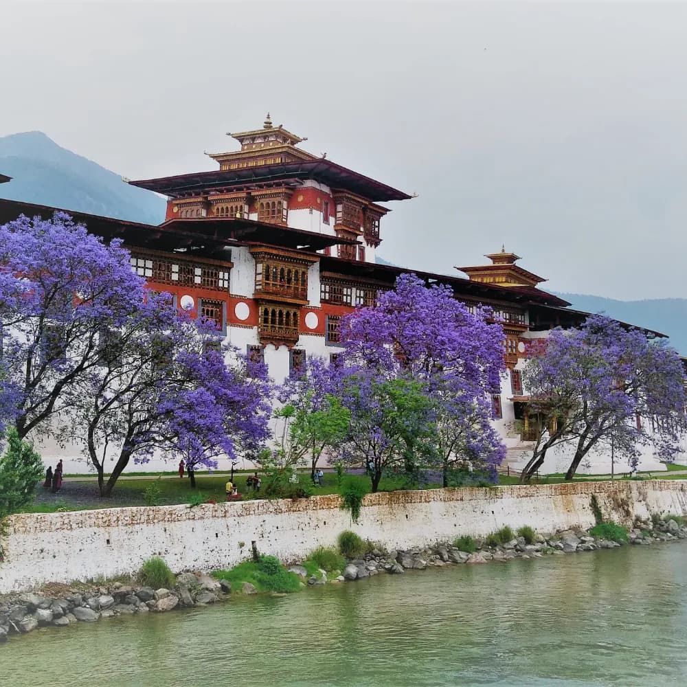 Punakha to Paro - Day 6
