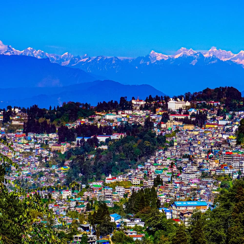 Sikkim Tour 34 - Gangtok Experience - Gallery Image 5