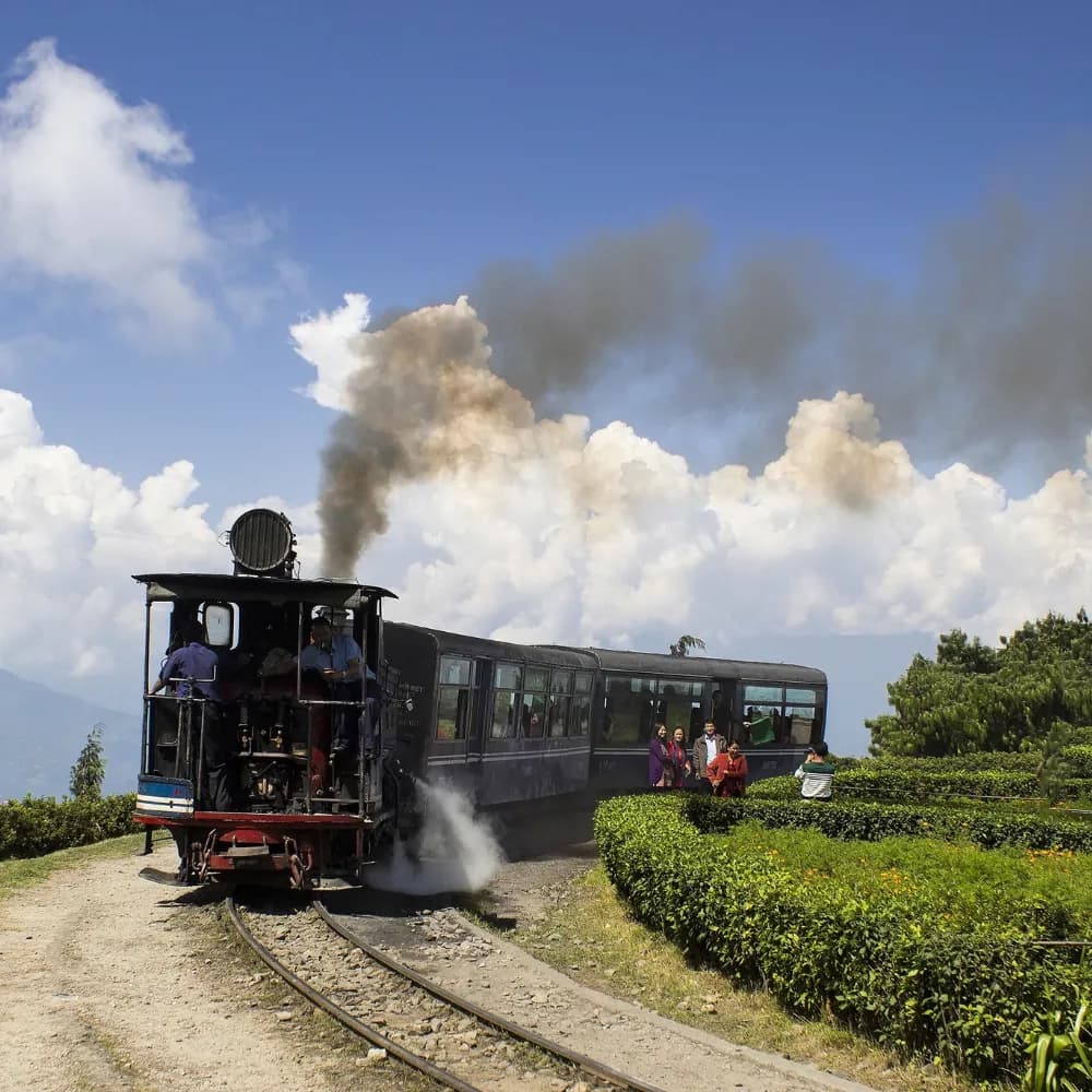 Sikkim Tour 34 - Gangtok Experience - Gallery Image 6