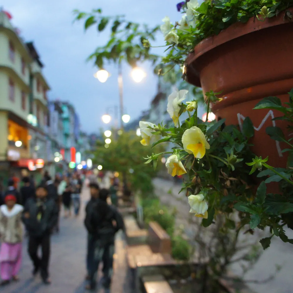 Sikkim Tour 34 - Gangtok Experience - Gallery Image 3