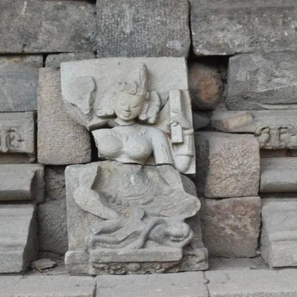 Hajo - Sualkuchi - Madan Kamdev Tour - Gallery Image 4