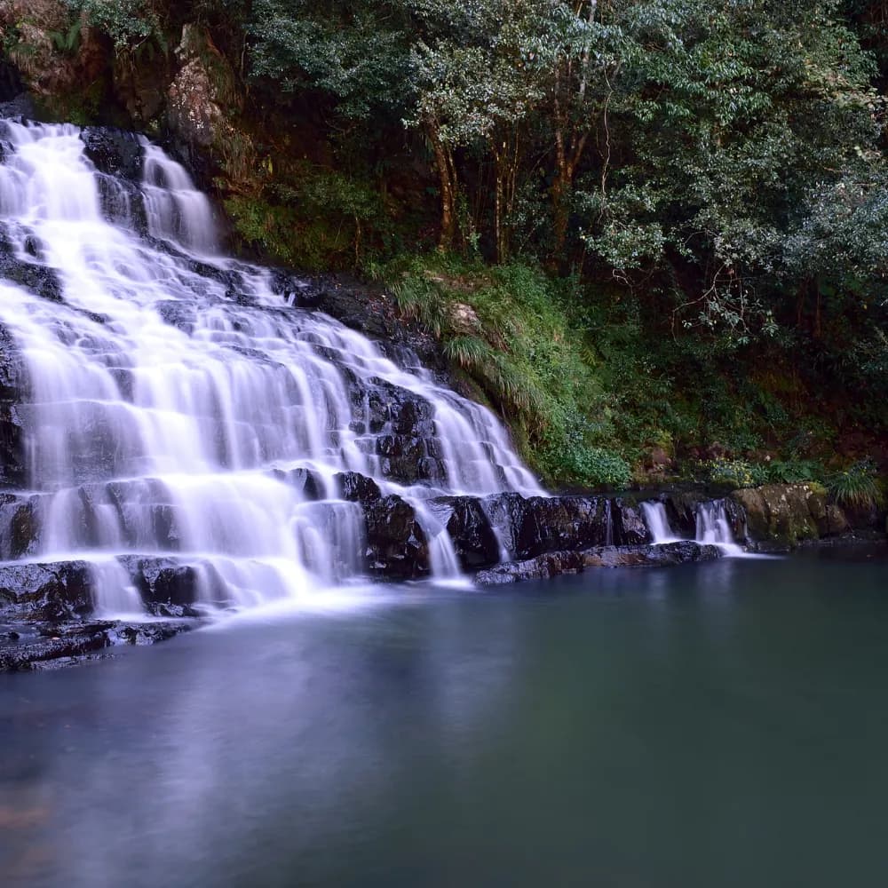 Full Day Shillong Tour - Gallery Image 4