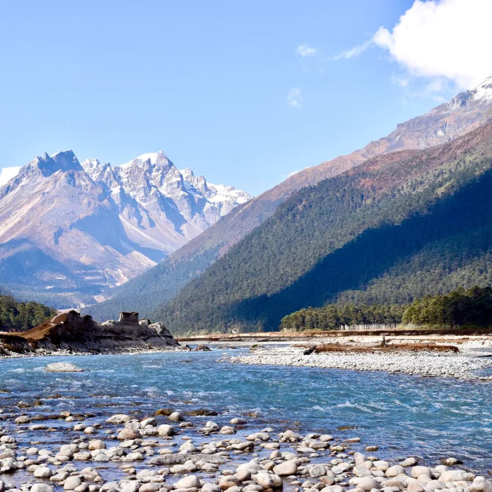 Lachung to Yumthang Valley - Day 7